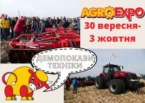 Графік демопоказів 2020