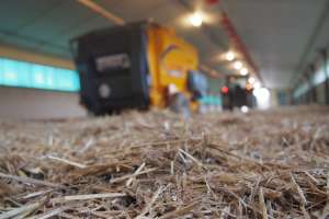 На AGROEXPO-2017 презентують техніку відомого французького бренда