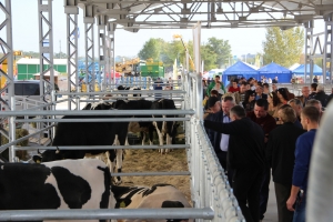 Новинка AGROEXPO-2016: виставка тваринництва (ФОТОРЕПОРТАЖ)
