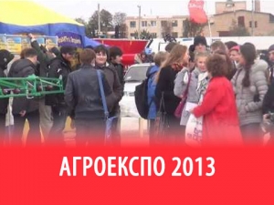 Виставка АгроЕкспо 2013