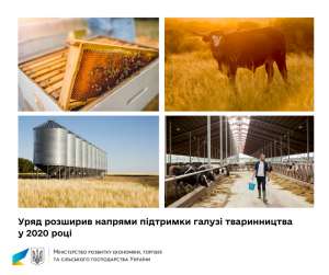 Уряд розширив напрями підтримки галузі тваринництва у 2020 році.