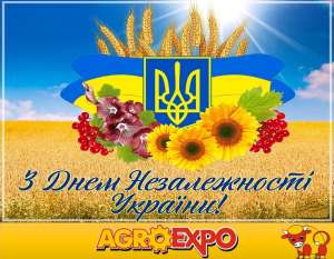 З Днем Незалежності України!