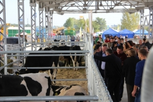 Виставка тваринництва на AGROEXPO-2017