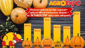 НАСТАВ ЧАС САДИТИ НАСІННЯ ГАРБУЗА НА КОНКУРС