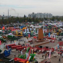  DSC0619